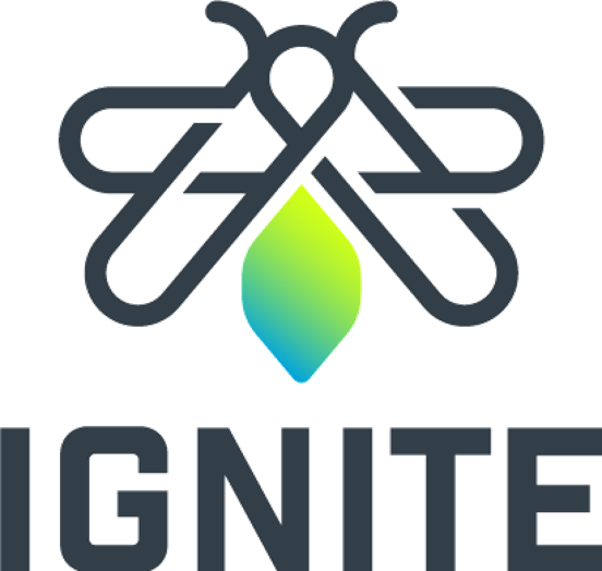 ignite sign